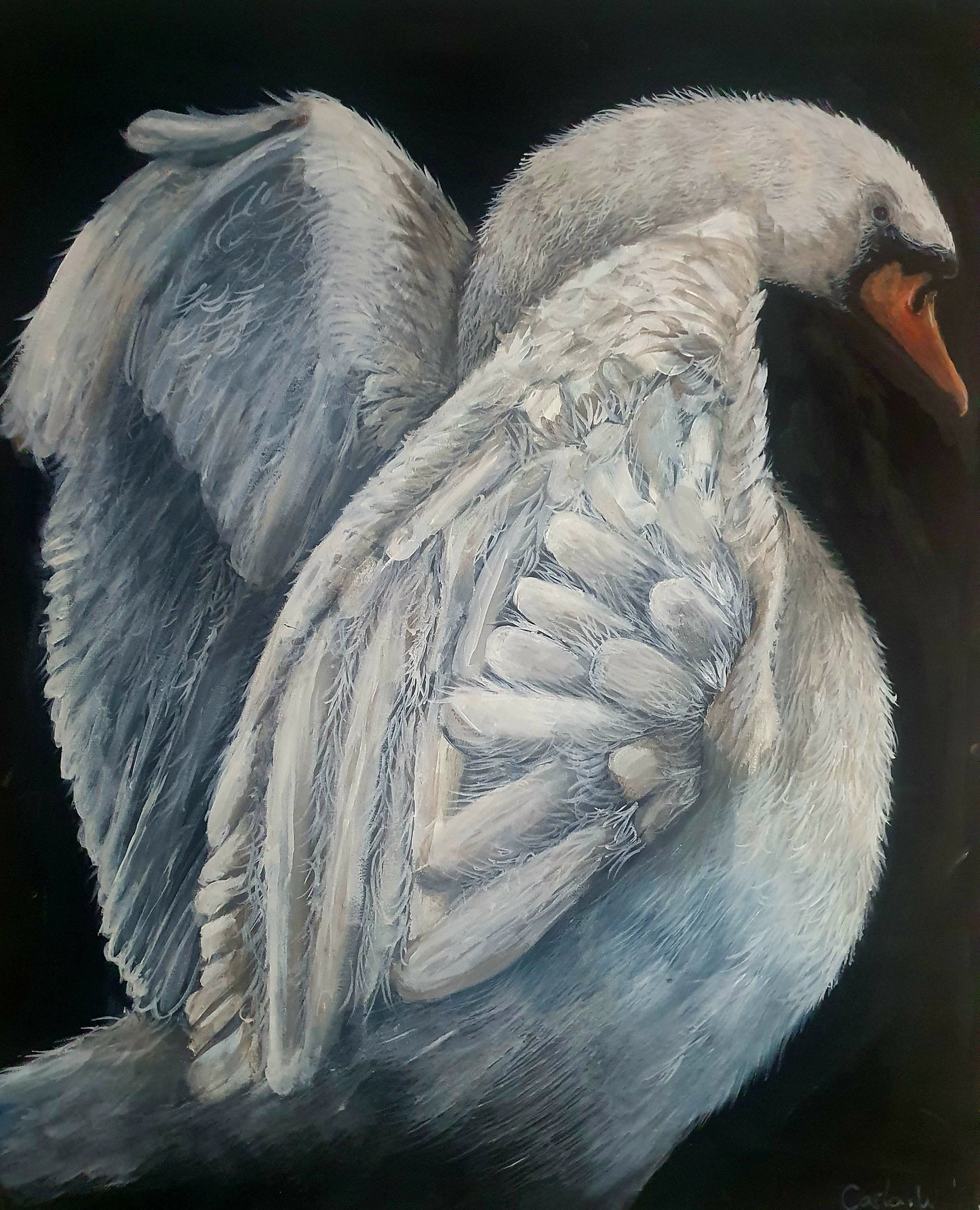 Swan
