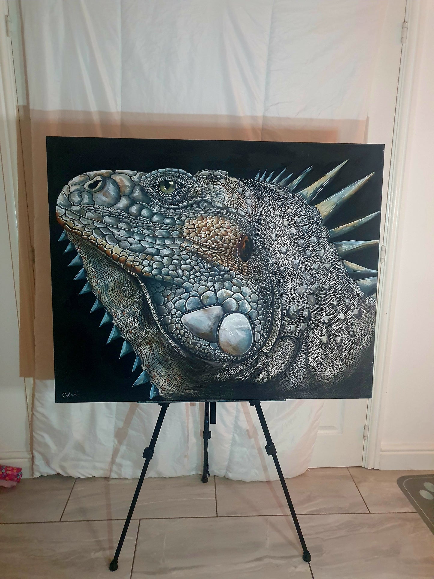 Iguana