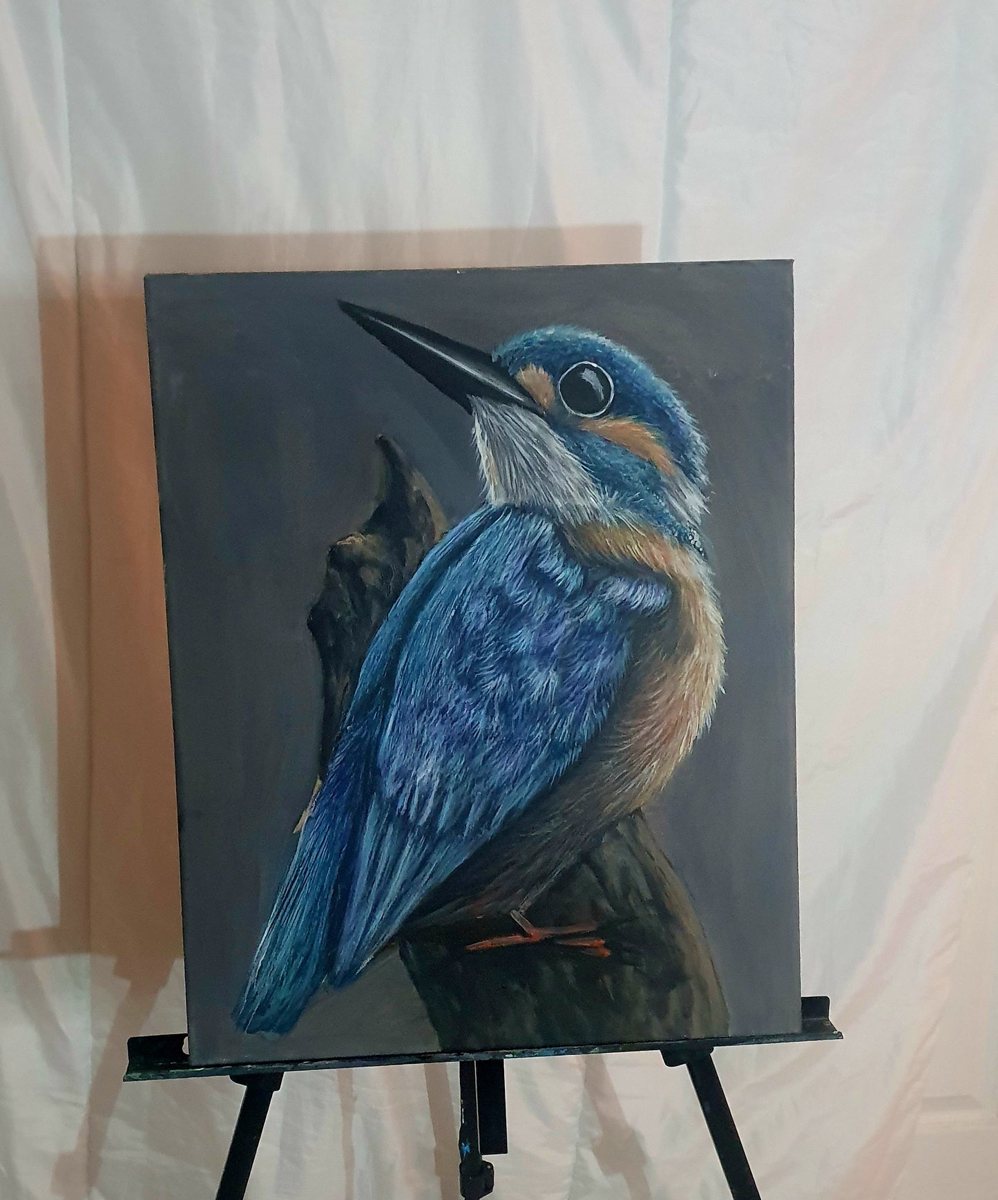 Kingfisher