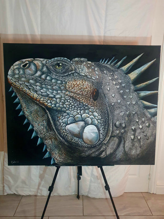 Iguana