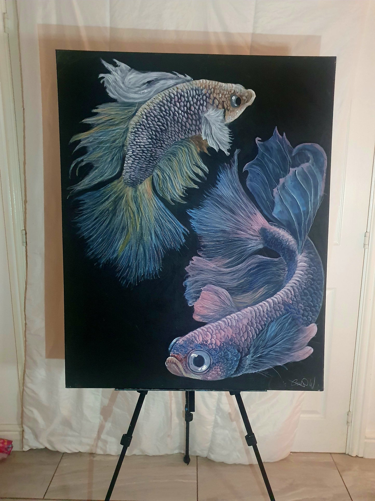 Beta fish