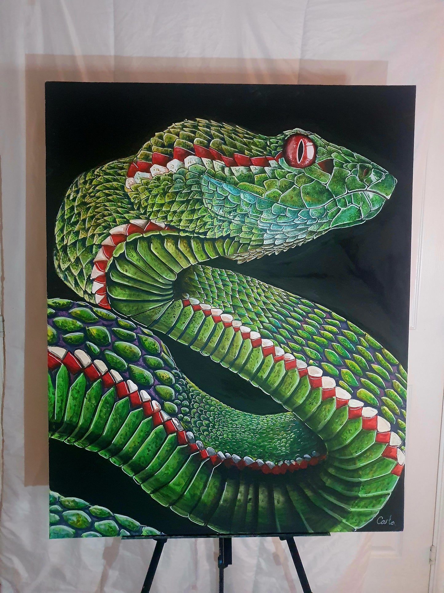 Viper