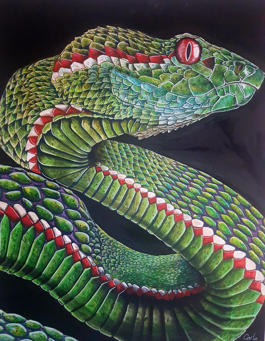 Viper