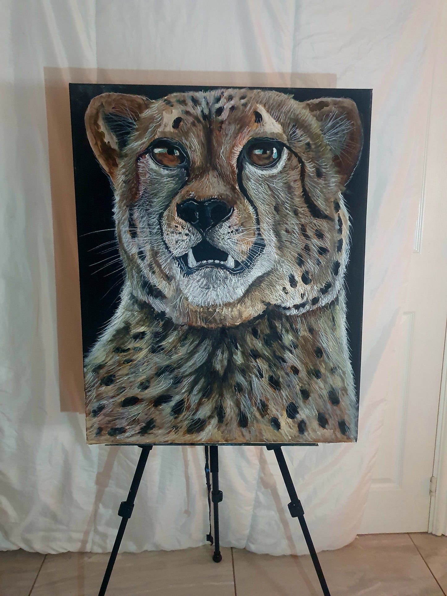 Cheetah