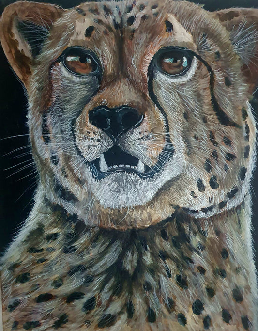 Cheetah