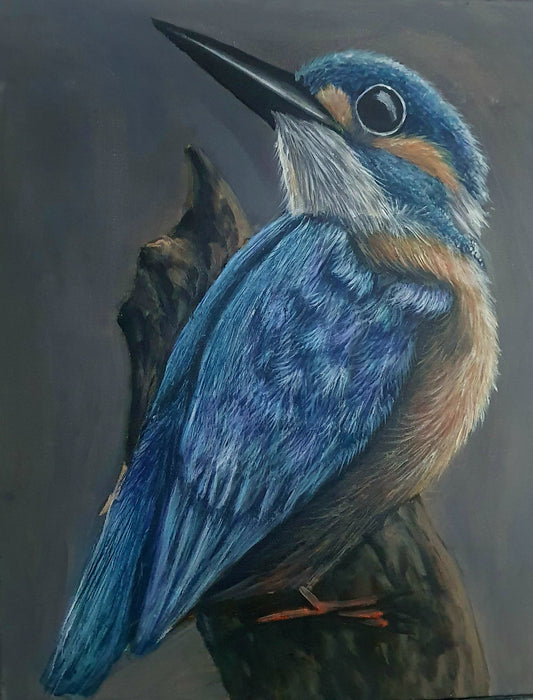 Kingfisher