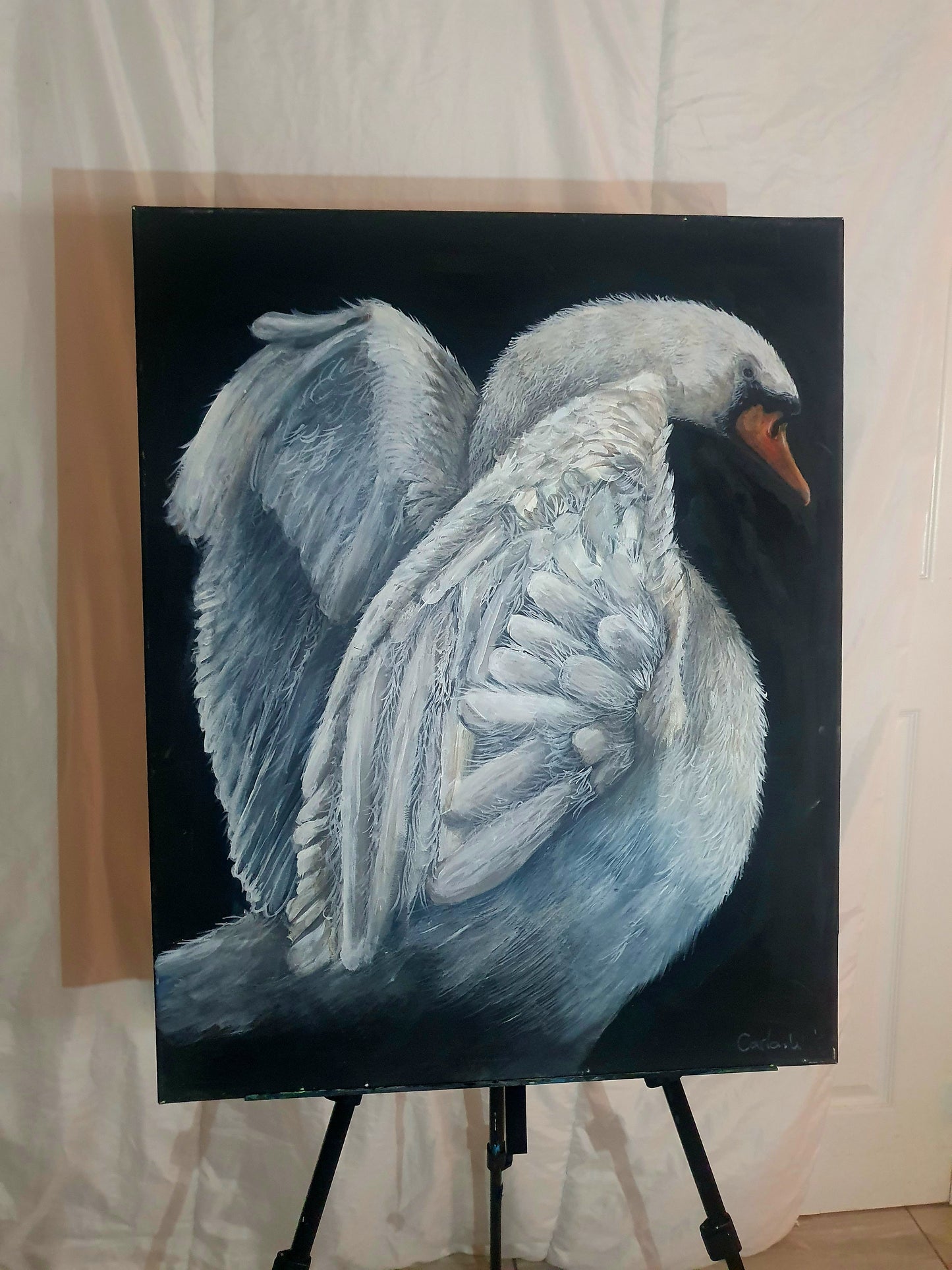 Swan