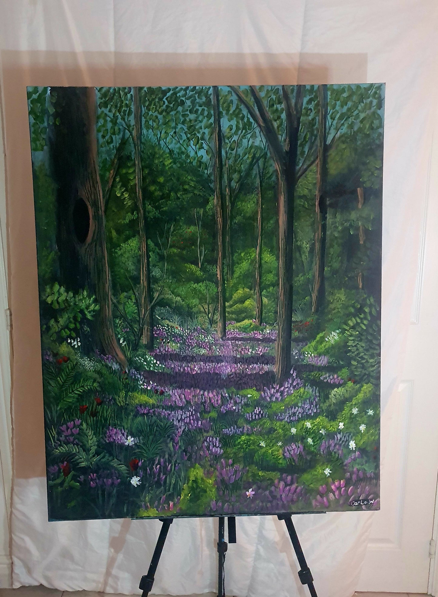 Blue Bell Wood