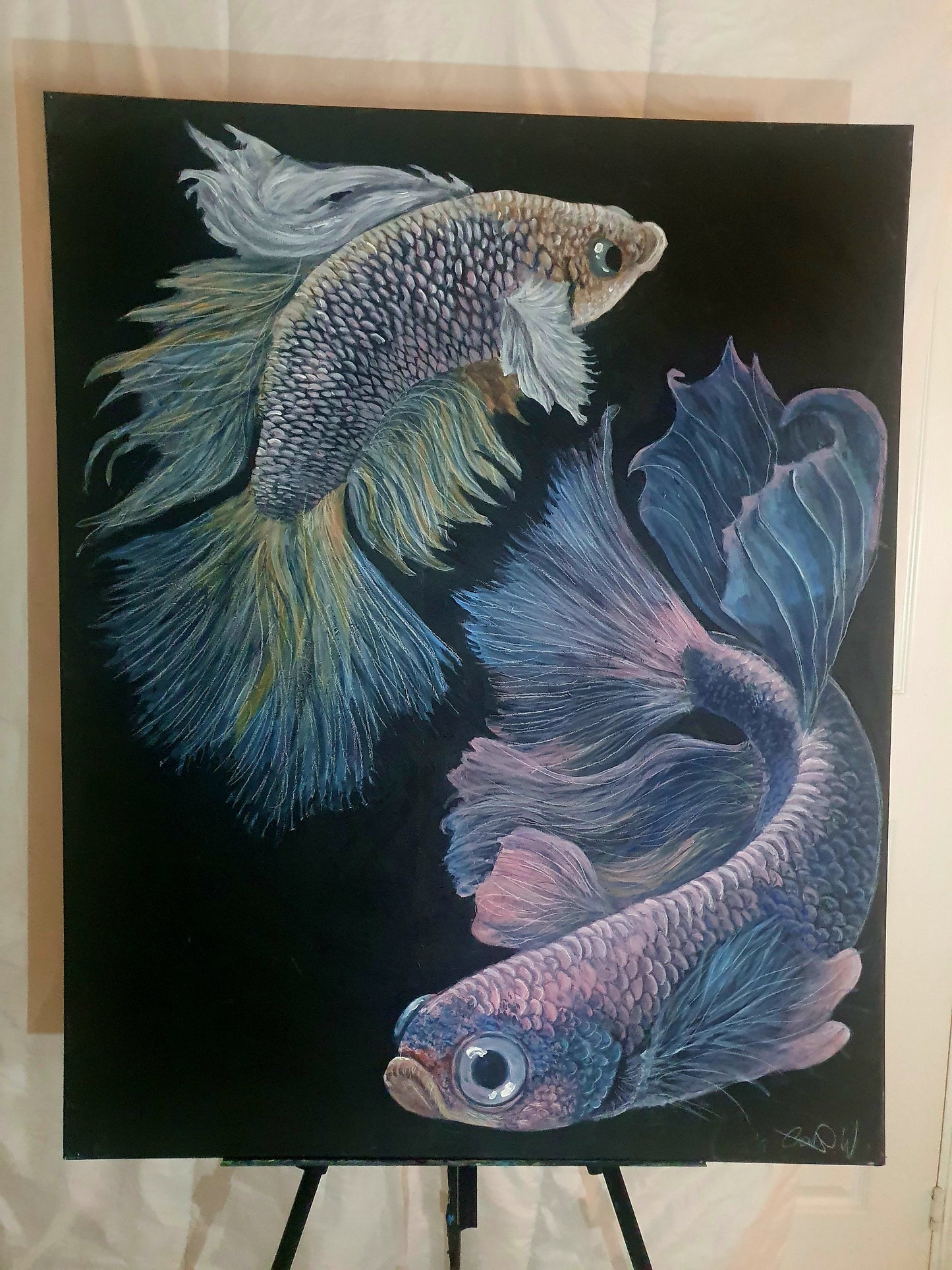 Beta fish