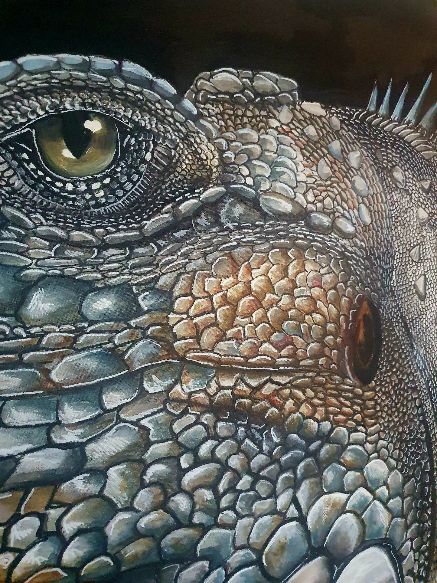 Iguana