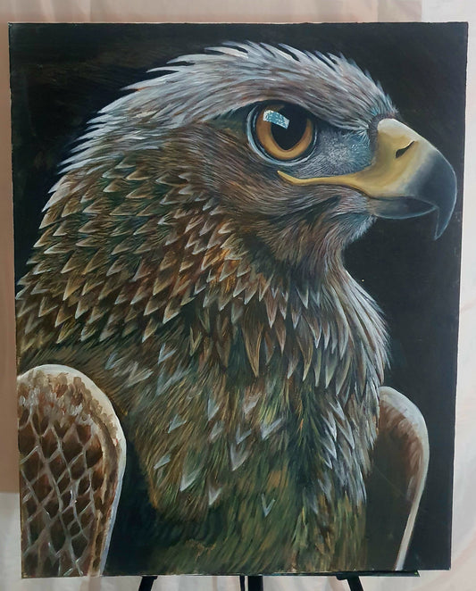 Golden Eagle